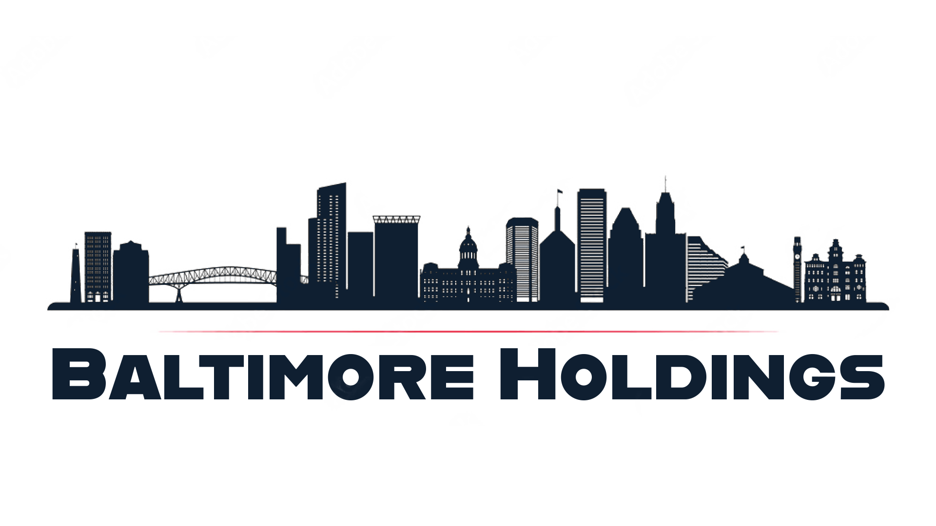 Baltimore Holdings Logo